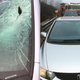 Illustration for article titled A Bird Flew Into This Woman's Windshield and Almost Murdered Her